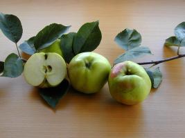 B&uuml;rener Zitronenapfel