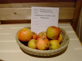Berlepsch