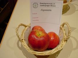 Zigeunerin